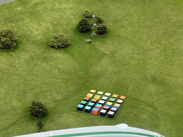 You Fly Trial Flight | 30 Minutes - Image 7